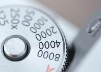 Ultimate Guide to the Best Knife Reviews: Find Your Perfect Match