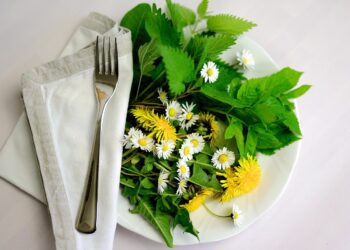 Maximizing Your Pantry: Innovative Canned Food Storage Solutions