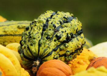 Mastering the Art of Wild Game Cleaning: Essential Tips and Techniques