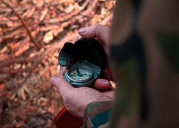 Unlocking Nature's Pharmacy: Herbal First Aid Remedies for Everyday Use