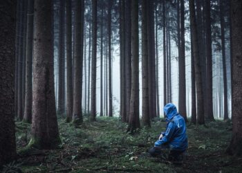 Ultimate Guide to Choosing the Best Water Purification Gear for Your Home