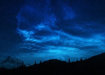 Mastering Wilderness Living: Essential Skills for Thriving Off the Grid