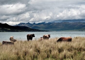 First Aid in Survival Situations: Essential Tips to Keep You Safe