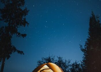 7 Essential Skills for Wilderness Living You Can't Ignore