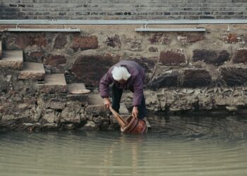 7 Essential Tips for Safe Wild Foraging Every Beginner Should Know
