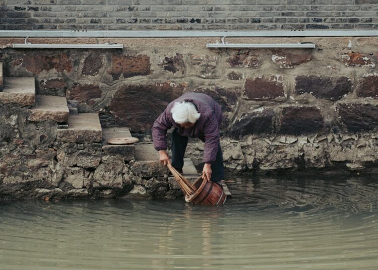 7 Essential Tips for Safe Wild Foraging Every Beginner Should Know