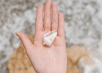 7 Must-Know Benefits of Water Purification for Your Home