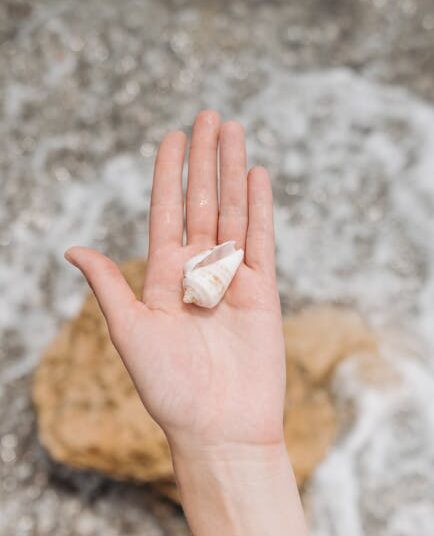 7 Must-Know Benefits of Water Purification for Your Home