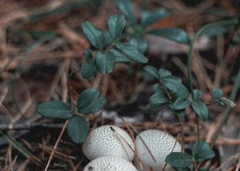 7 Sustainable Practices for Food and Sourcing You Can Start Today