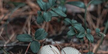 7 Sustainable Practices for Food and Sourcing You Can Start Today