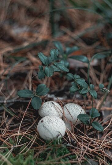 7 Sustainable Practices for Food and Sourcing You Can Start Today