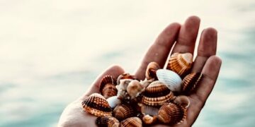 Top 10 Wild Game Cleaning Tips Every Hunter Must Know